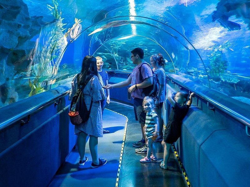 Aquarium klcc- عالم تحت البحار