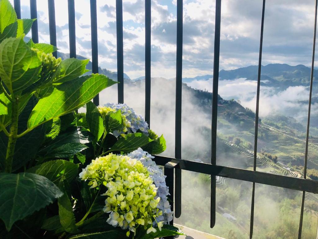 Pao's Sapa Leisure Hotel