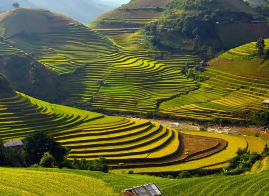 وادي كات كات سابا